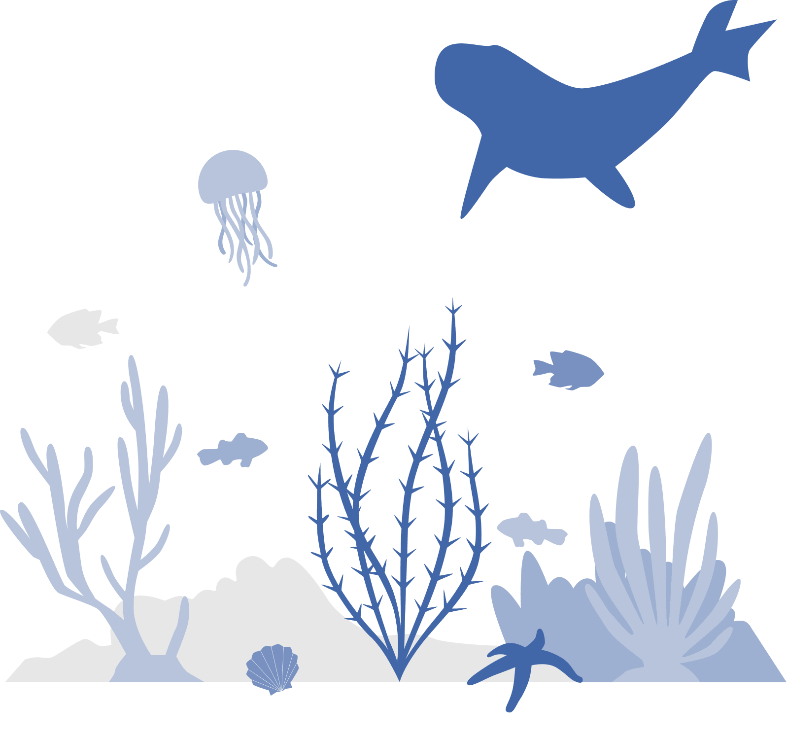 Marine ecology icon
