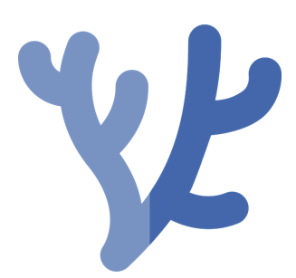 Underwater reef survey scene