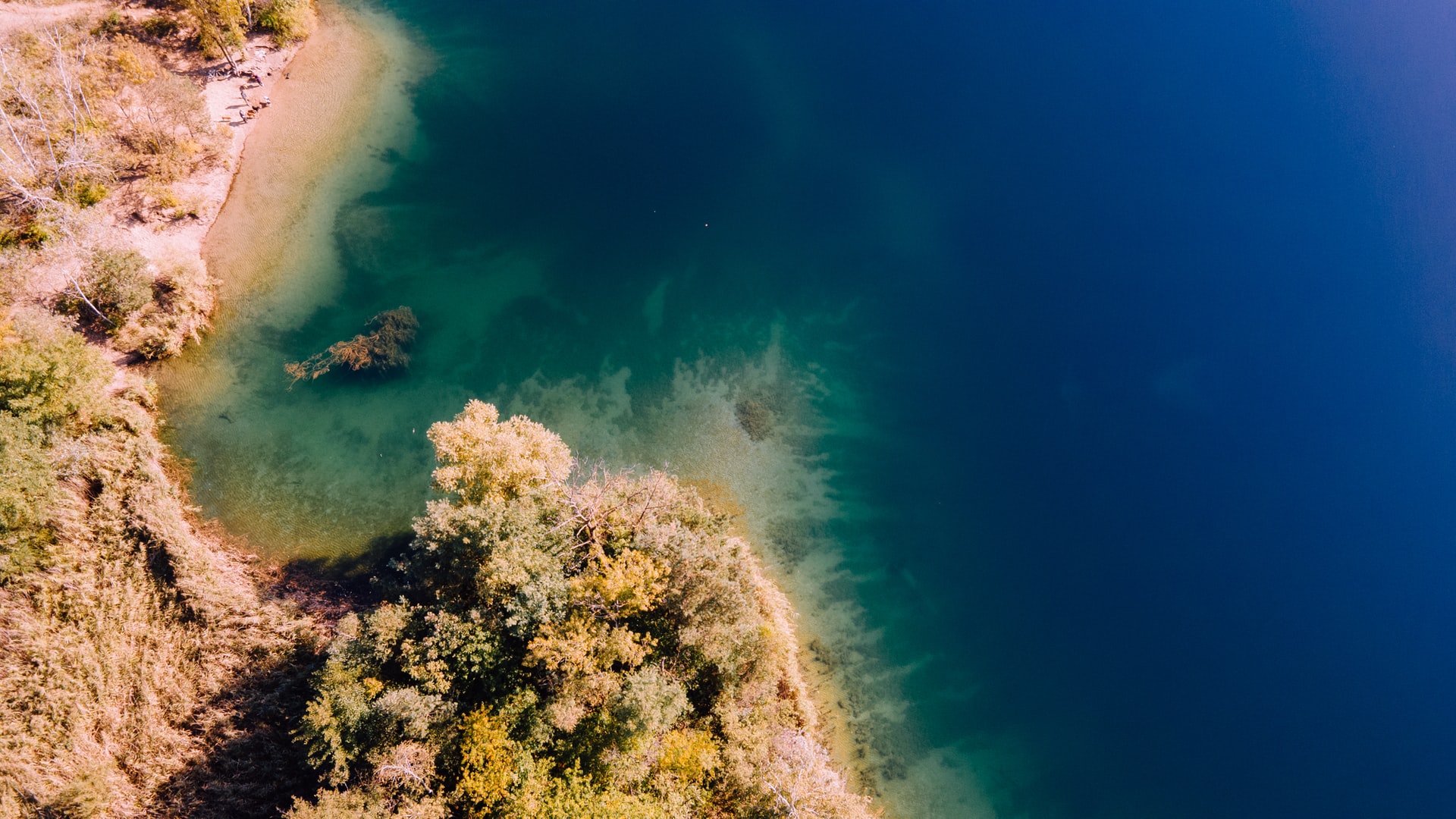 Underwater survey scene